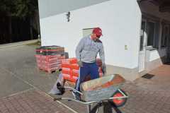 IMG-20230321-WA0006